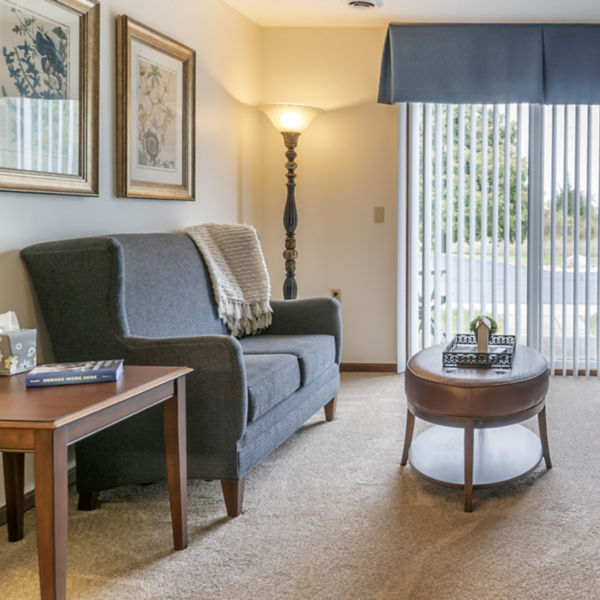 Brookdale Adrian Apartment Living Room