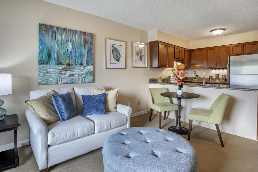 Apartment Living Room