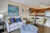 Apartment Living Room