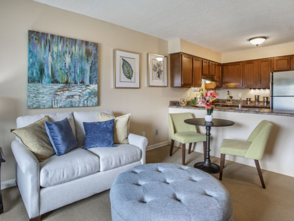 Brookdale Bristol Apartment Living Room