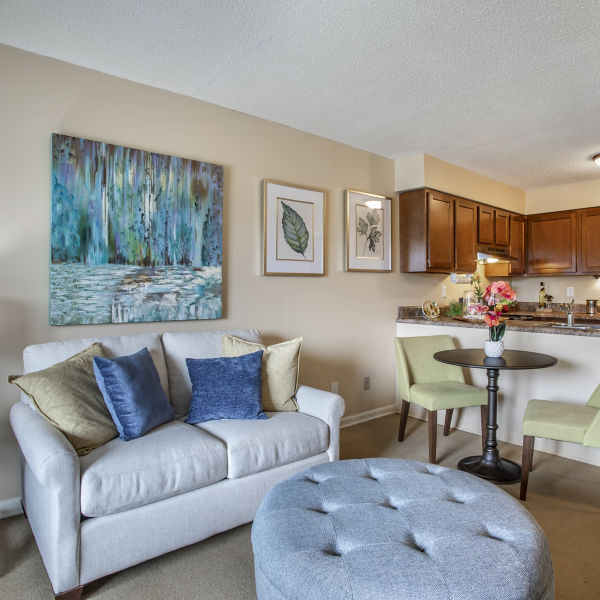 Brookdale Bristol Apartment Living Room