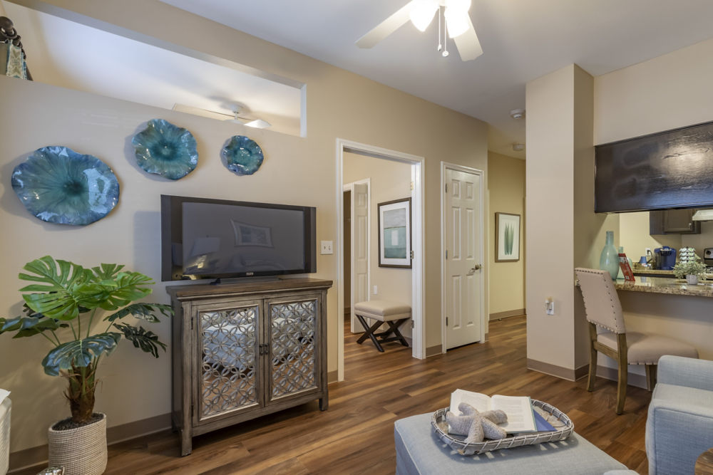 Apartment Living Room