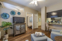 Apartment Living Room