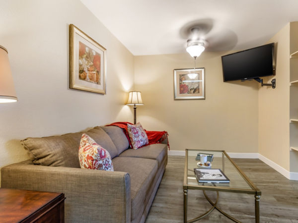 Brookdale Denton South Apartment Living Room