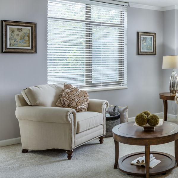 Brookdale Gaines Ranch Apartment Living Room