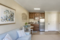 Apartment Living Room