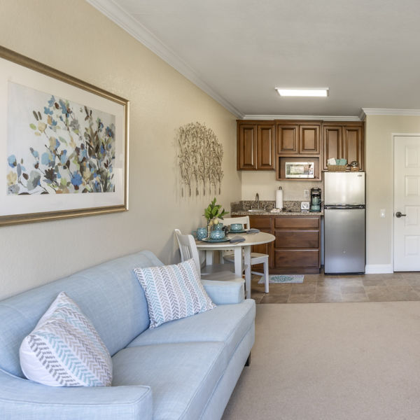 Brookdale Irvine Apartment Living Room