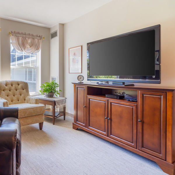 Brookdale Niskayuna Apartment Living Room