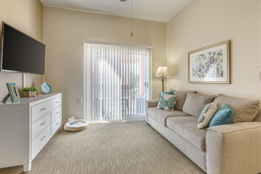 Apartment Living Room