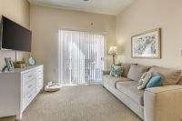 Apartment Living Room