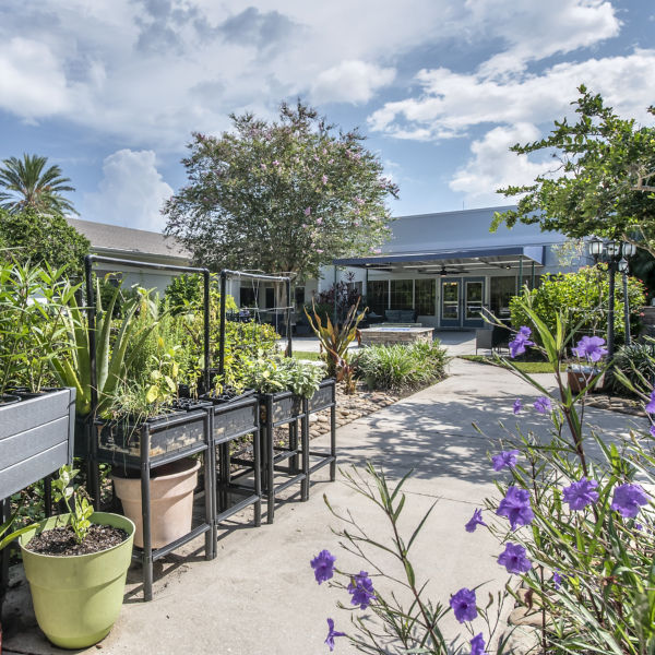 Brookdale Palmer Ranch Garden