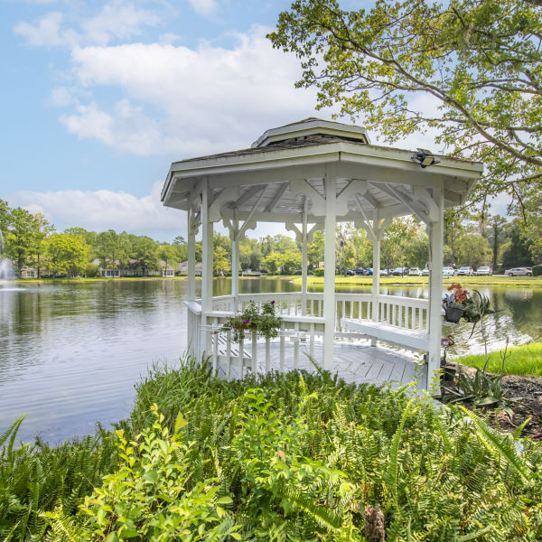 Brookdale Southside Pond