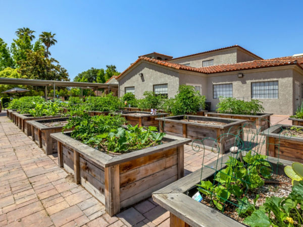 Brookdale Sunwest Raised Garden