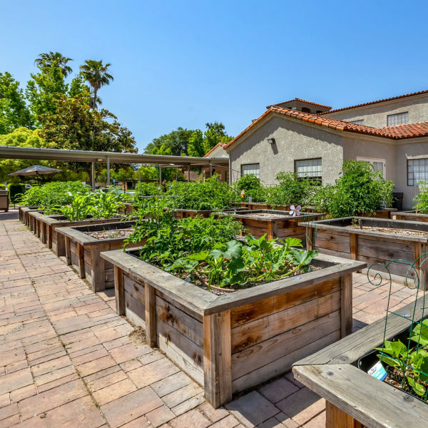 Brookdale Sunwest Raised Garden