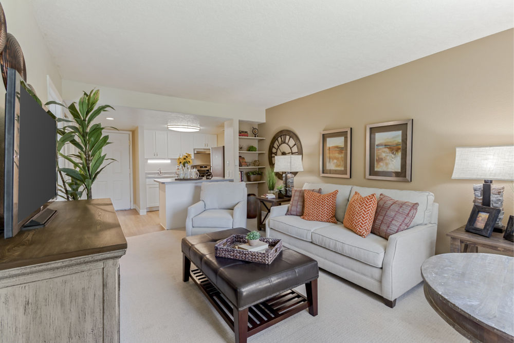 Apartment Living Room