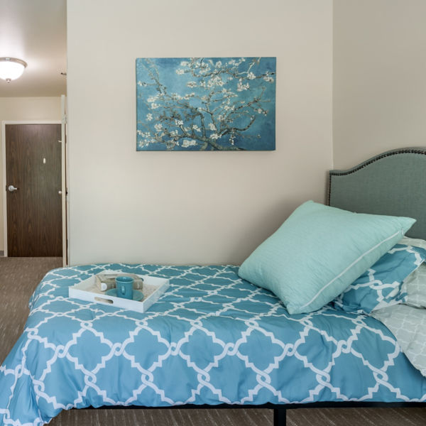 Brookdale Bellevue Ny Apartment Bedroom
