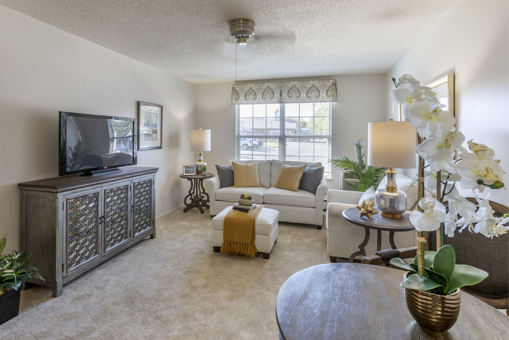 Apartment Living Room