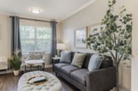 Apartment Living Room