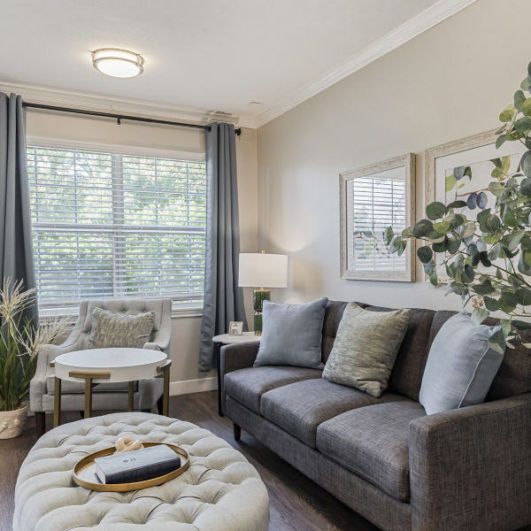 Brookdale Creekside Apartment Living Room