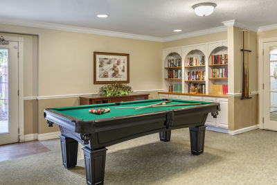 Dr Phillips Recreation Room