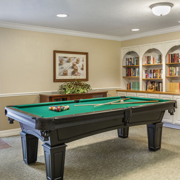 Brookdale Dr Phillips Recreation Room