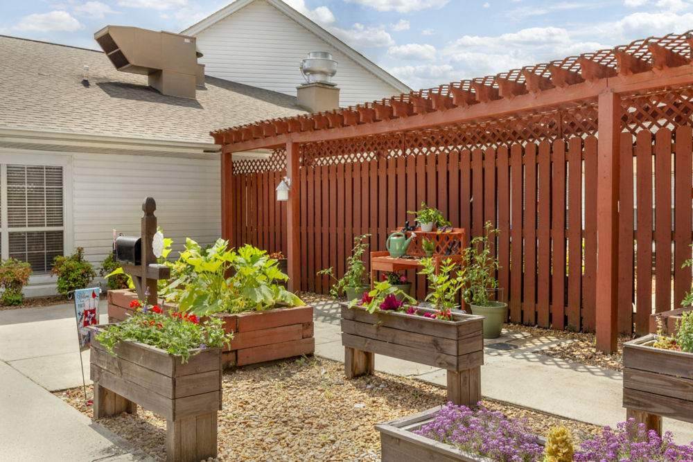 Lexington Community Garden