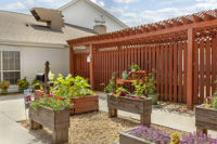 Lexington Community Garden