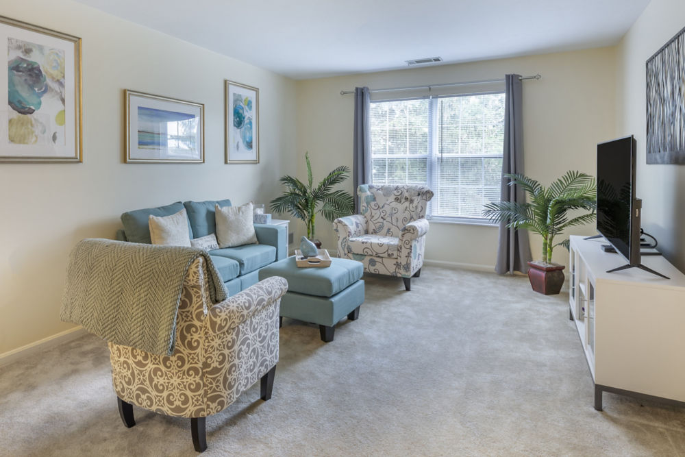 Apartment Living Room