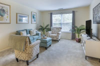 Apartment Living Room