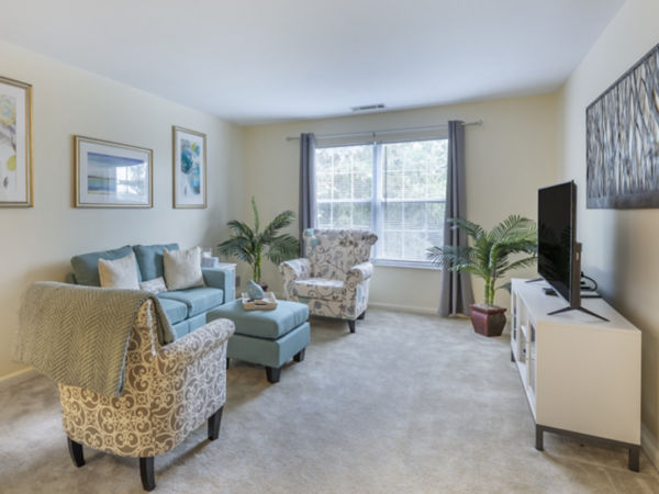 Brookdale Montrose Apartment Living Room
