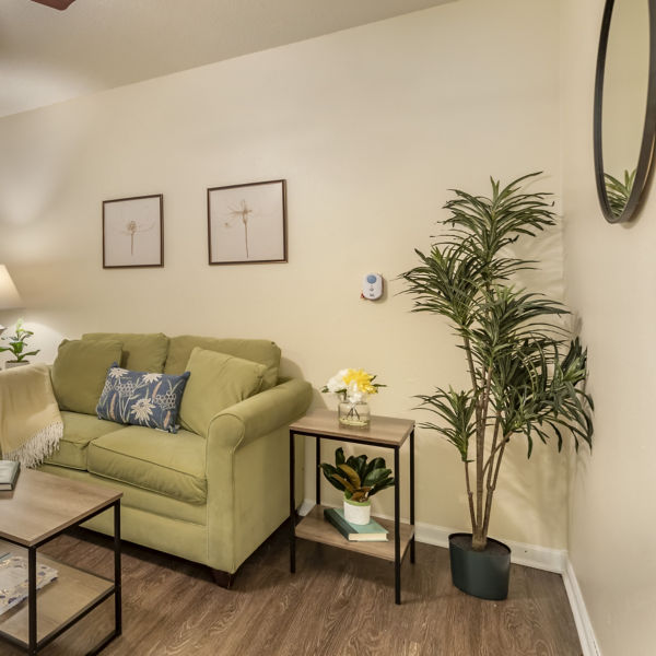Brookdale New Braunfels Apartment Living Room