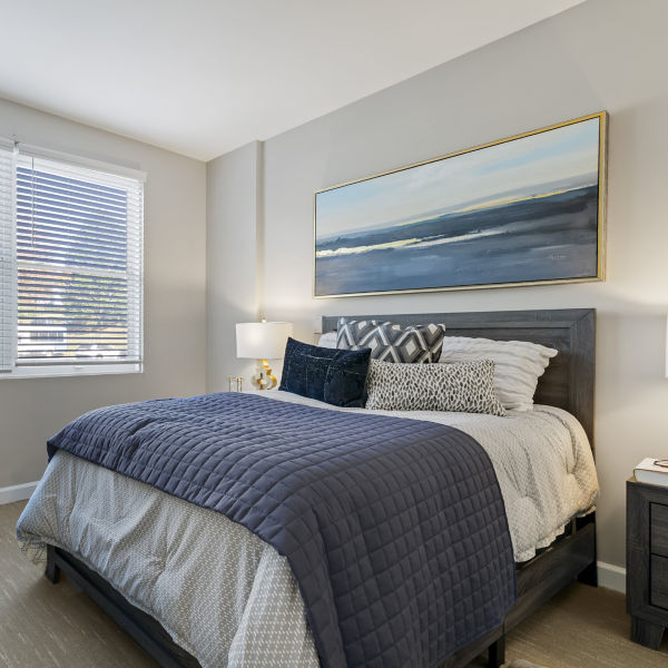 Brookdale Potomac Apartment Bedroom