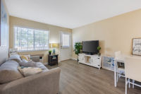 Apartment Living Room