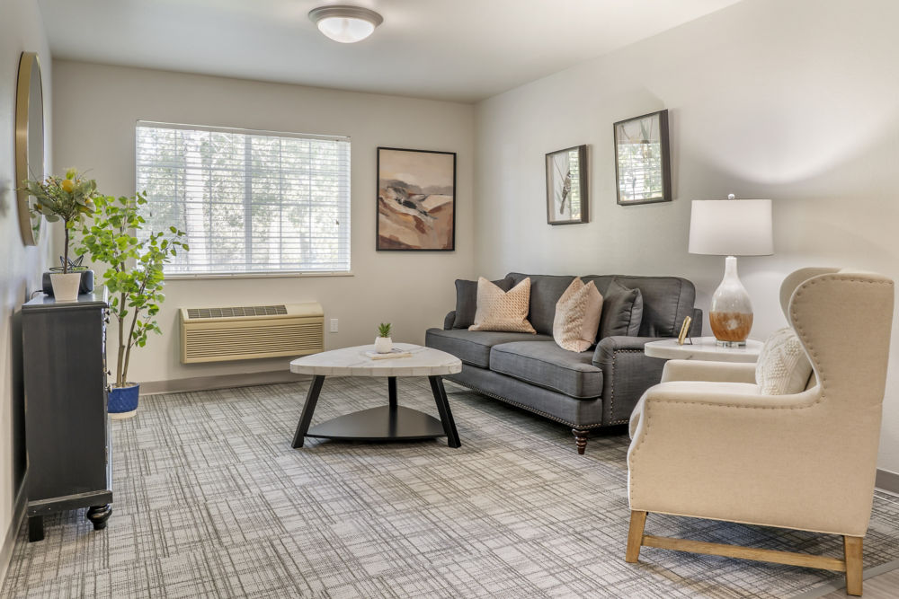 Apartment Living Room