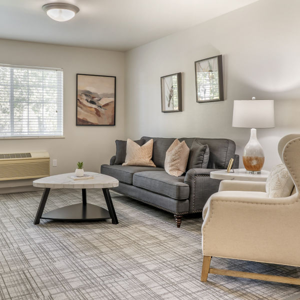 Brookdale Springmeadows Apartment Living Room