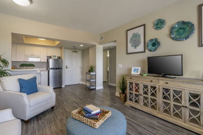 Apartment Living Room