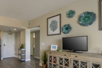 Apartment Living Room