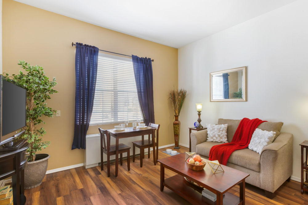 Apartment Living Room