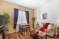 Apartment Living Room