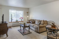 Apartment Living Room