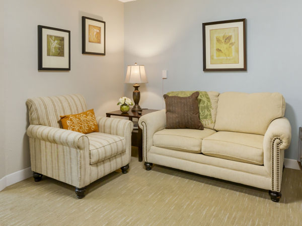 Brookdale Canton Apartment Living Room