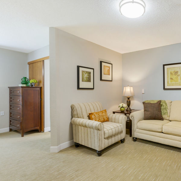 Brookdale Canton Apartment Living Room