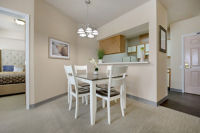 Apartment Dining Room