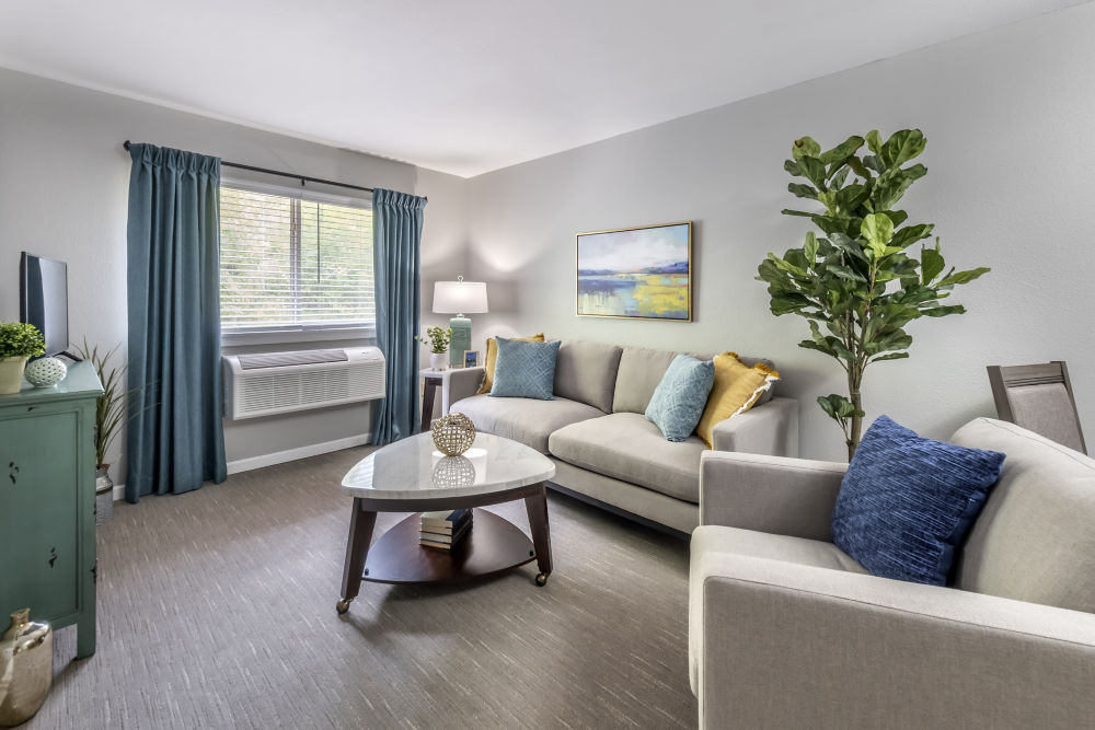 Apartment Living Room