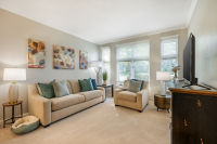 Apartment Living Room