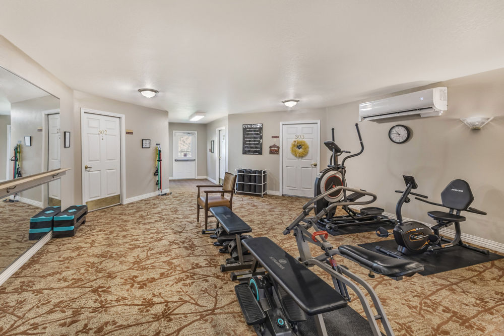 Physical Therapy