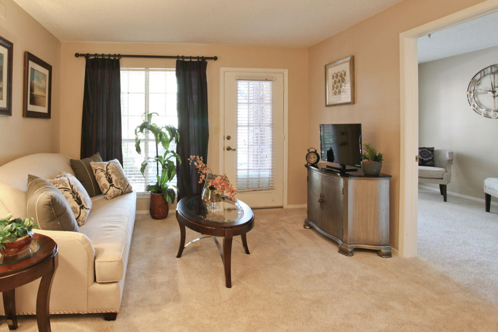 Apartment Living Room