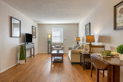 Apartment Living Room