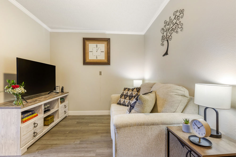 Apartment Living Room