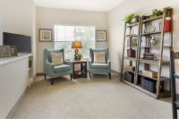 Apartment Living Room